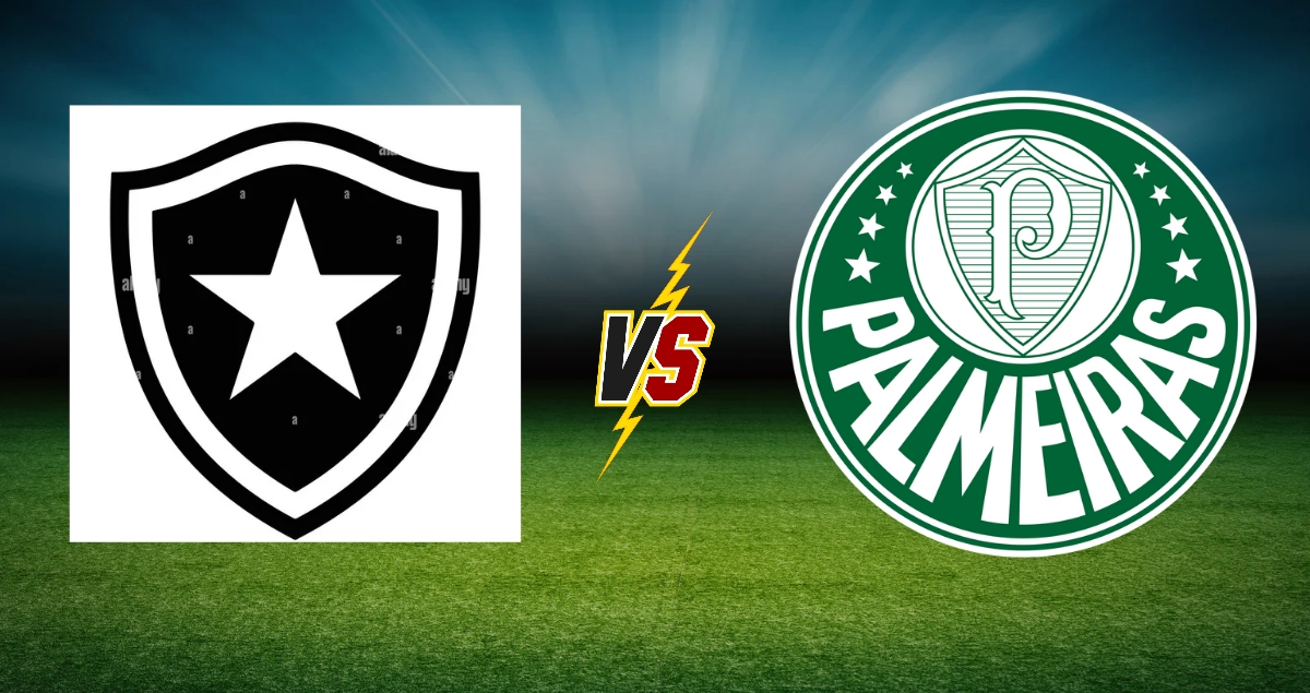 match Botafogo contre Palmeiras