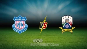 pronostic Ventforet Kofu FC Gifu