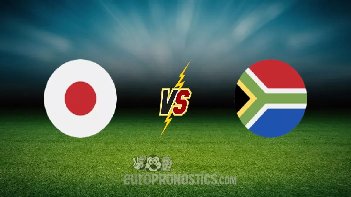 pronostic Japon W Afrique du Sud W